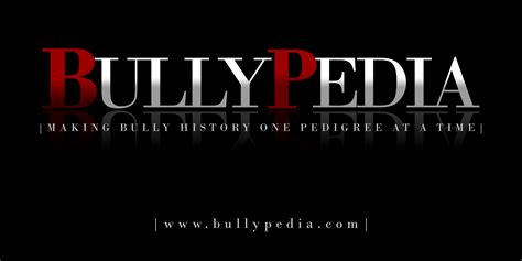 The breed was created by crossing American Staffordshire Terriers, Pit Bulls, and other breeds to create a dog with a muscular and compact build, a friendly and confident personality, and a strong desire to please its owner. . Bully pedia